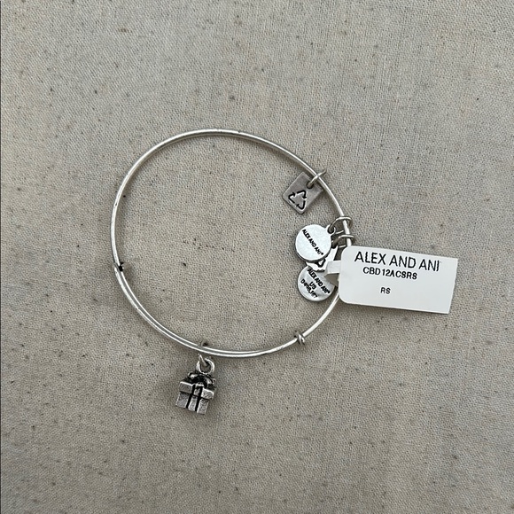Alex and Ani Jewelry - Alex and Ani gift Silver Charm Bracelet